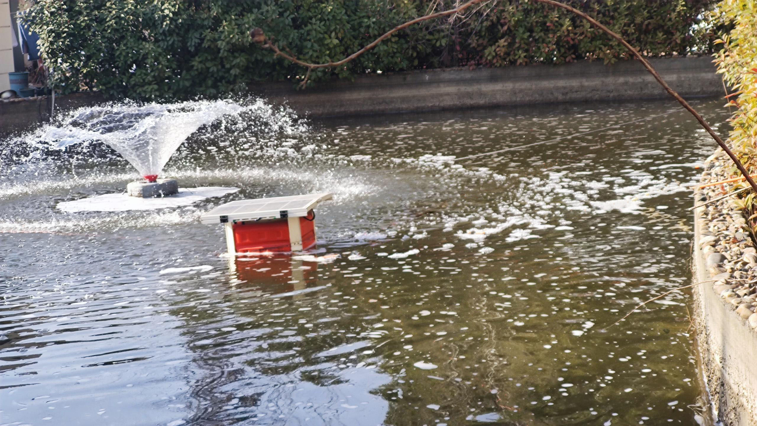 威尼斯app游戏平台网址